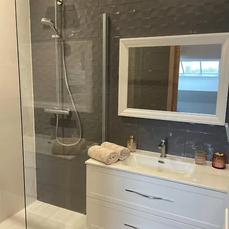 L'incroyable,appartement De Gamme Climatise, * Dijon