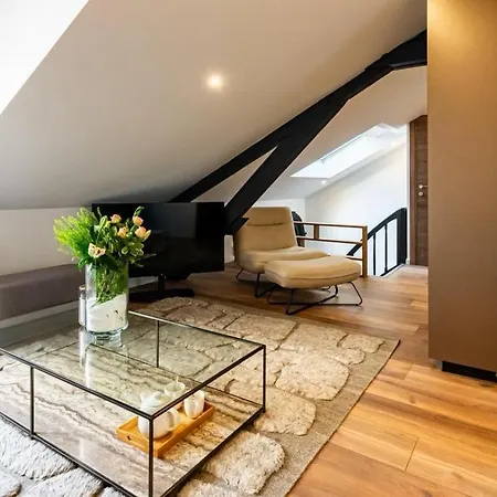 L'incroyable,appartement De Gamme Climatise, Appartement Dijon