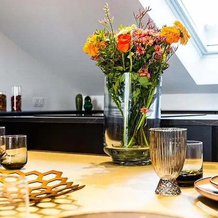 L'incroyable,appartement De Gamme Climatise, Dijon