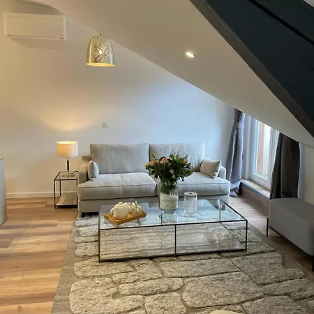 L'incroyable,appartement De Gamme Climatise, * Dijon